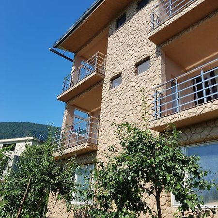 Guesthouse On Sovhoznaya 18 가그라 외부 사진