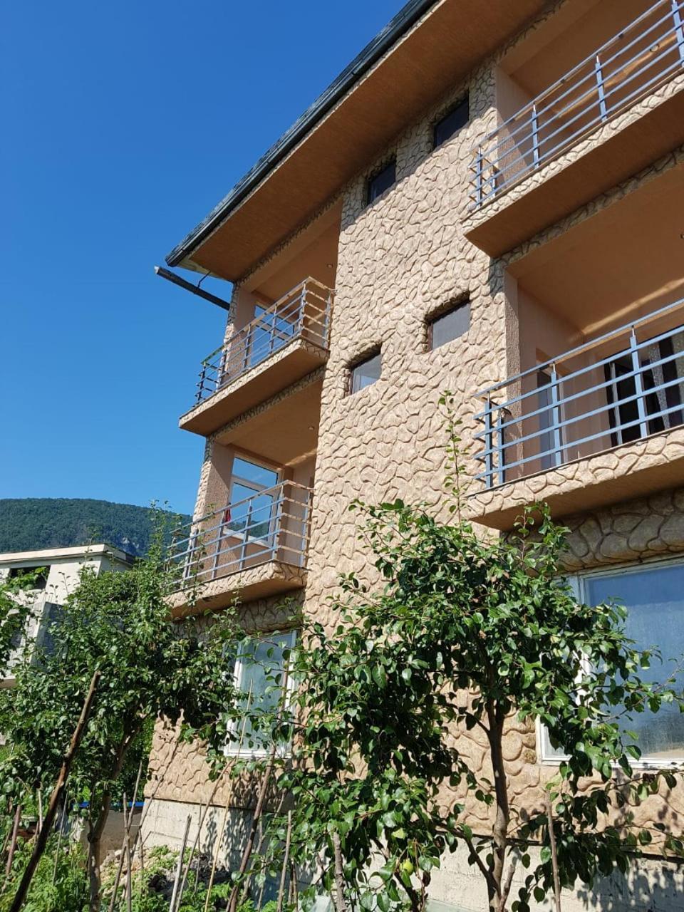 Guesthouse On Sovhoznaya 18 가그라 외부 사진